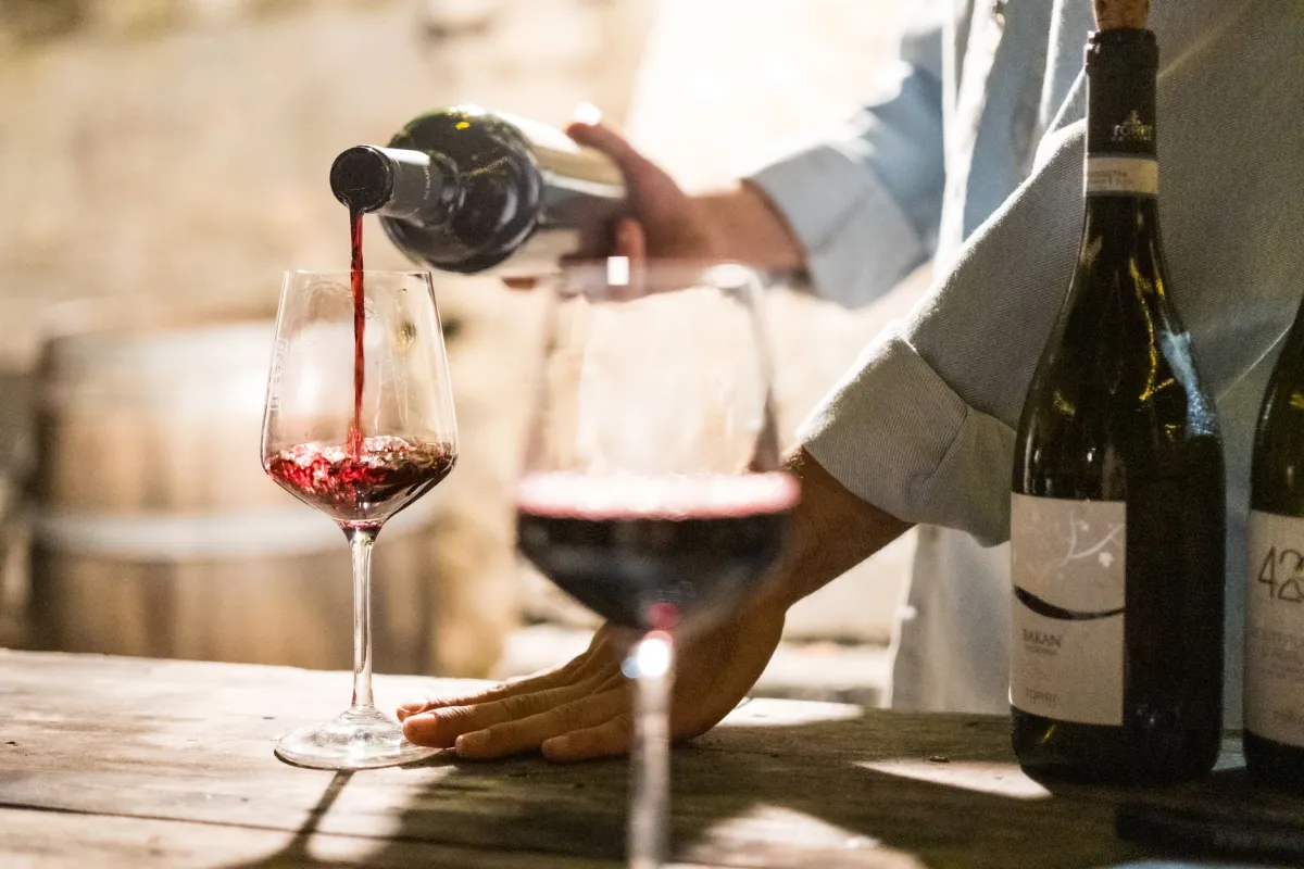 Curso de sommelier vale a pena? Guia honesto 2026