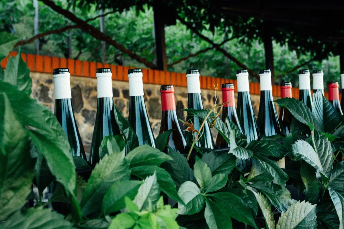 Fileira de garrafas de vinho