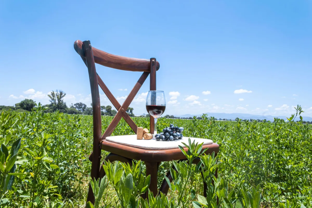 Vinho Catena Zapata é bom?