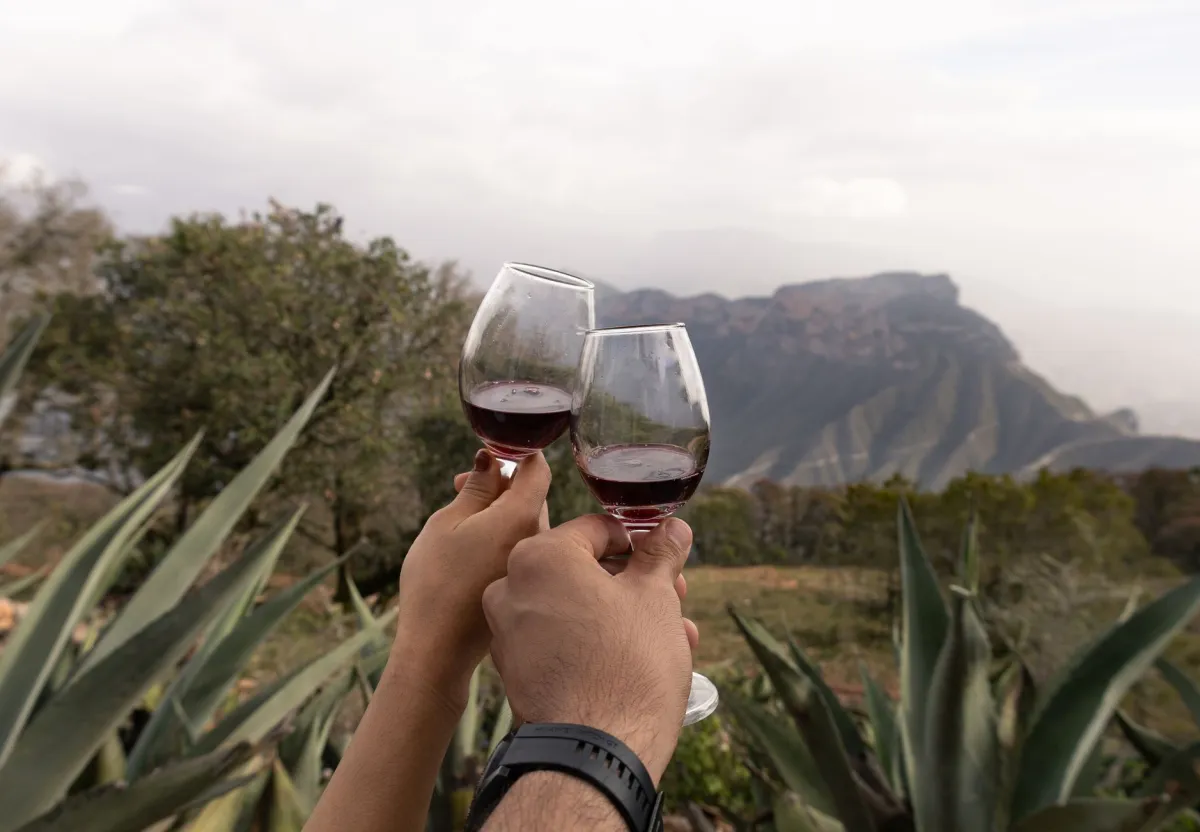 Vinho Escorihuela Gascón é bom?