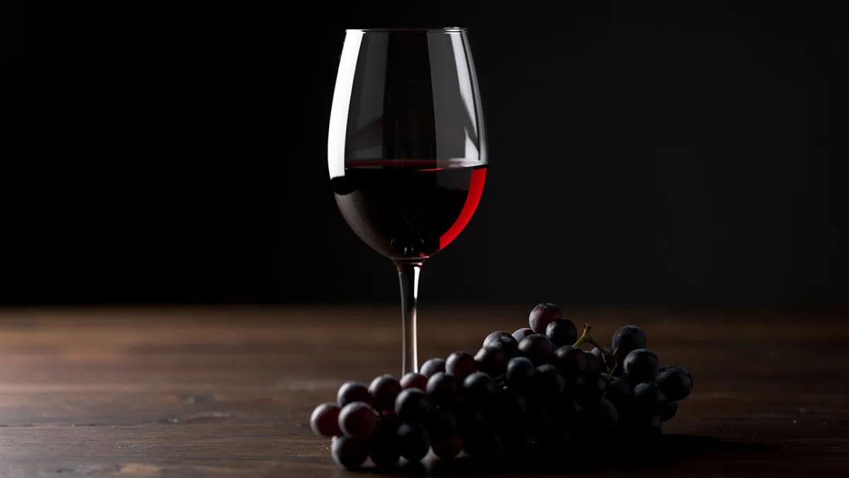 Vinho Gato Negro é bom?