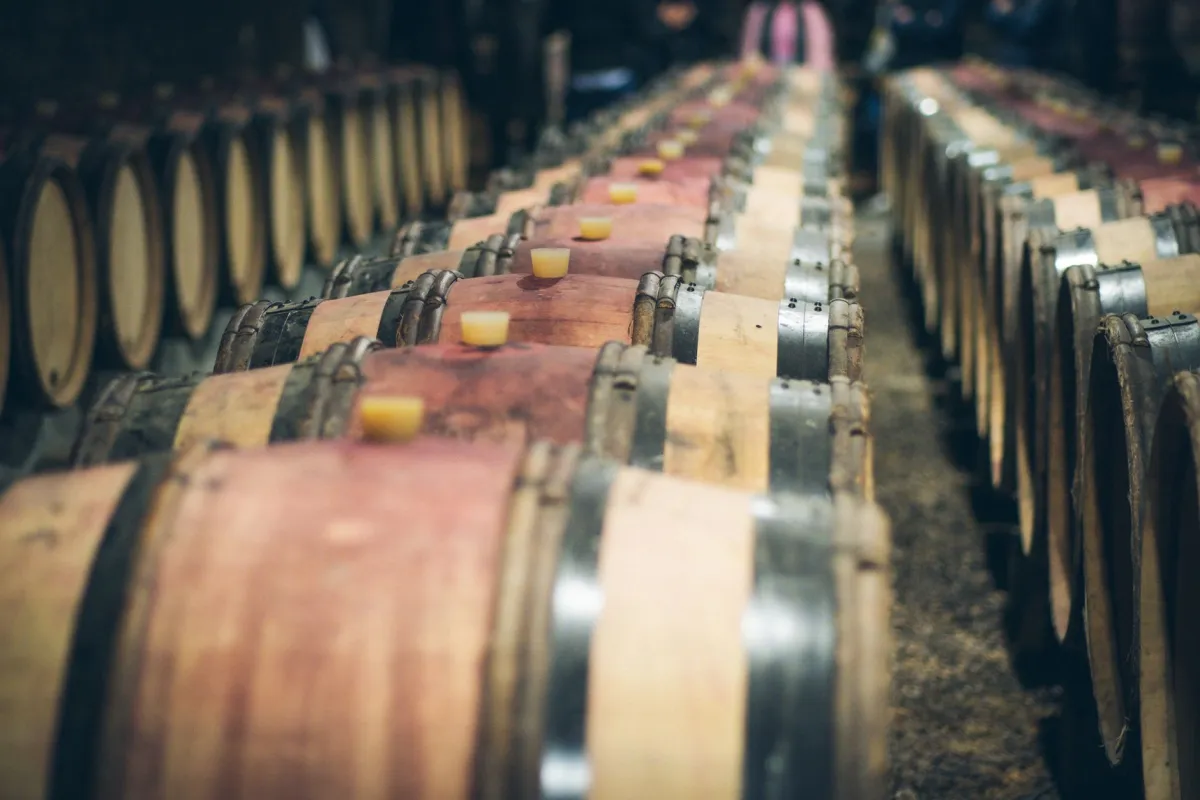 Vinho Marqués de Cáceres é bom?